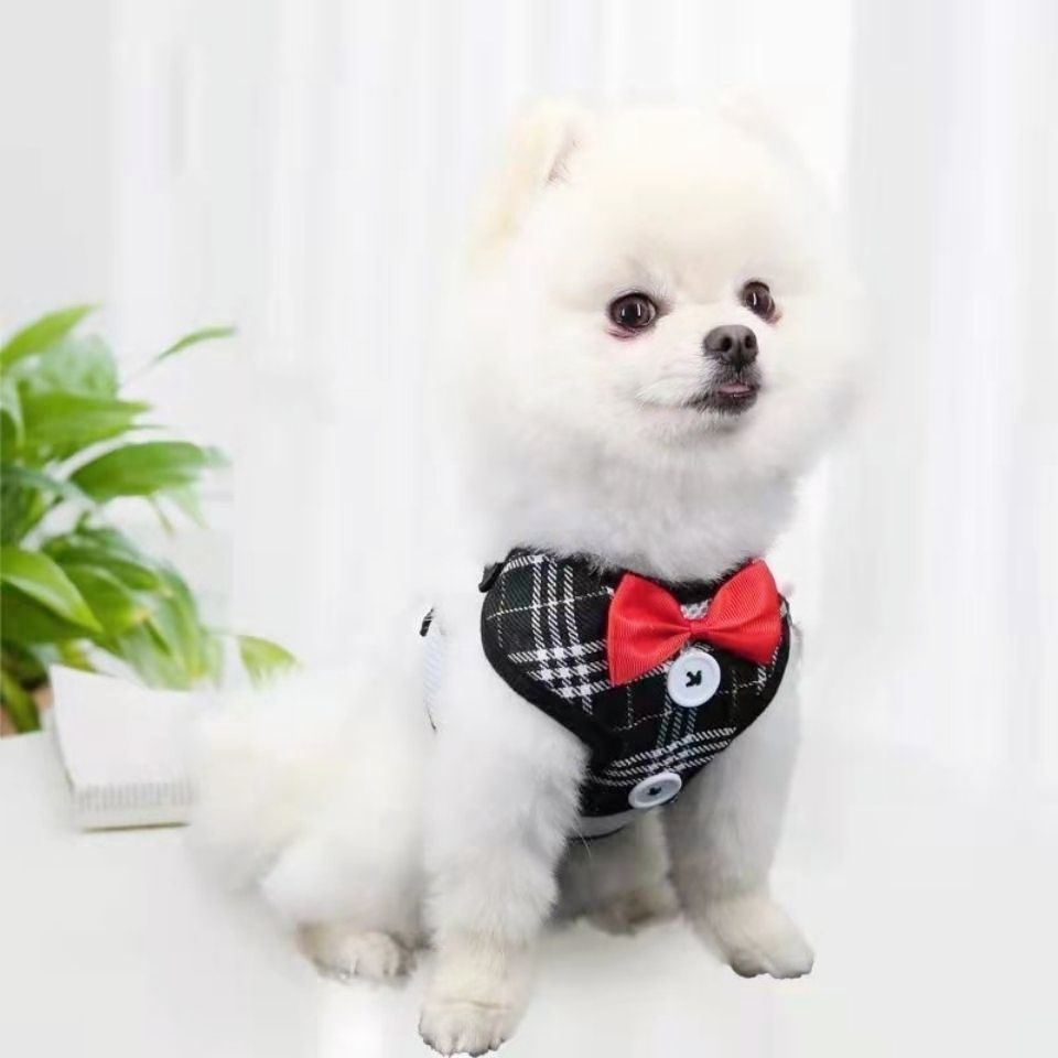 Dog Hand Holding Rope Vest Clothes Small And Medium Dogs Chest Strap