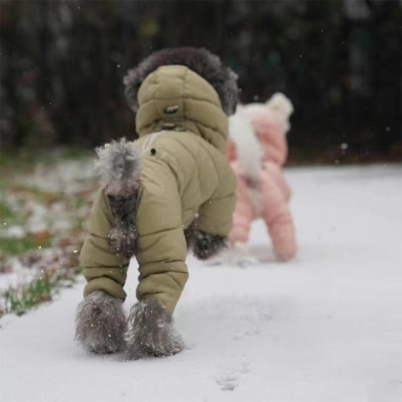 Small Dog Winter Clothing For Pets