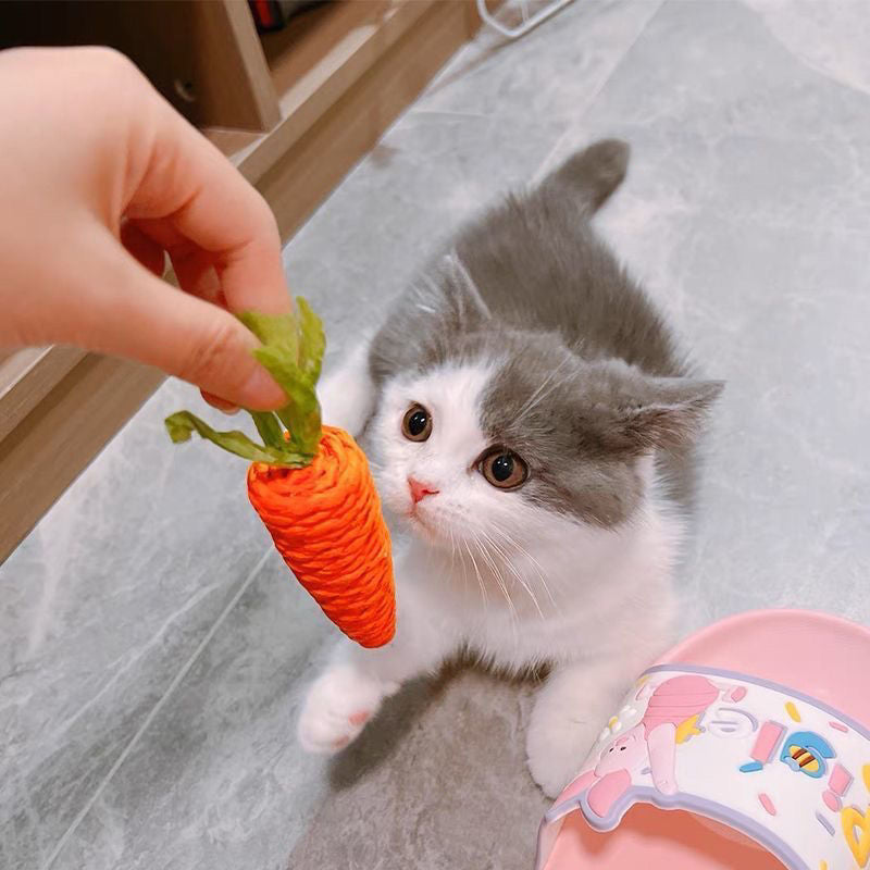 Sound Carrot Kittens Molar Rod Cat Scratch Board