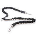 Dogs With One Tow Two Leashes Pets Double Heads