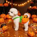 Halloween Pumpkin Pet Costume Dress, Funny Pumpkin Transform Outfit, Adjustable Harness Dress For Small Dogs Cats, Cute Halloween Party Cosplay