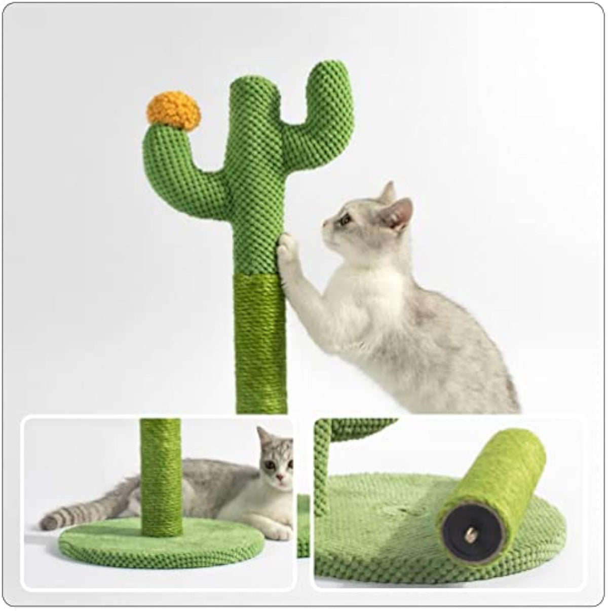 Cat Toy Scratching Board Cat Floor Scratching Nail Decorations Indoor Plants Accessories Cat Scratching Trees Plant Decorations Cats Claw Scratcher