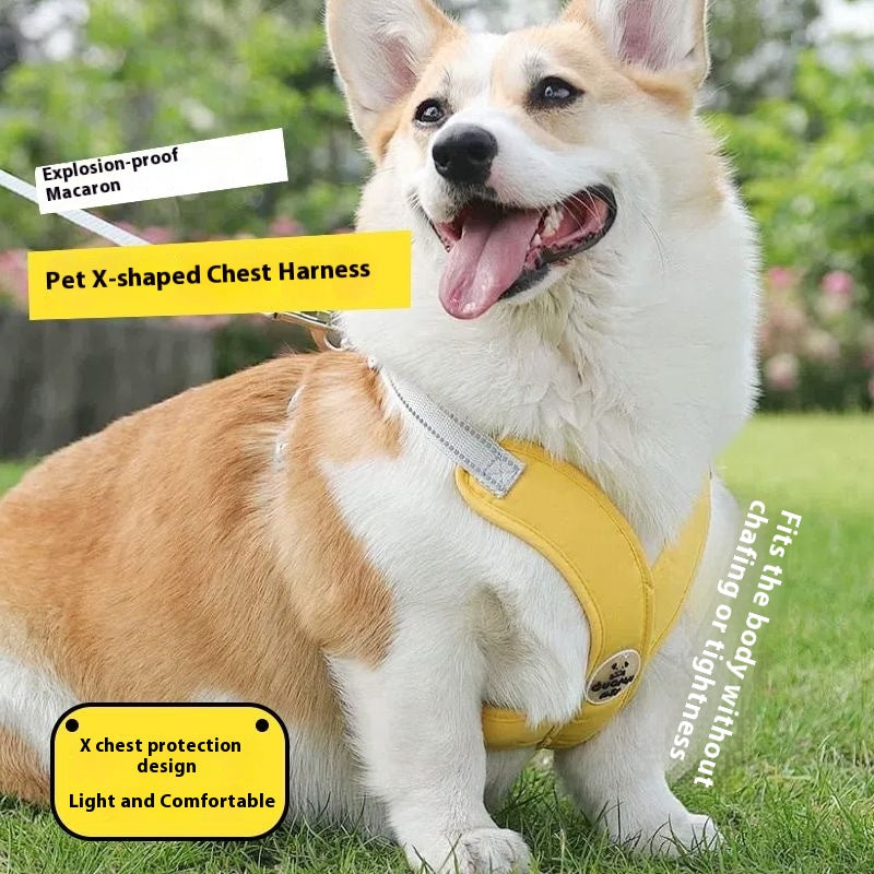 New Pet Vest Hand Holding Rope