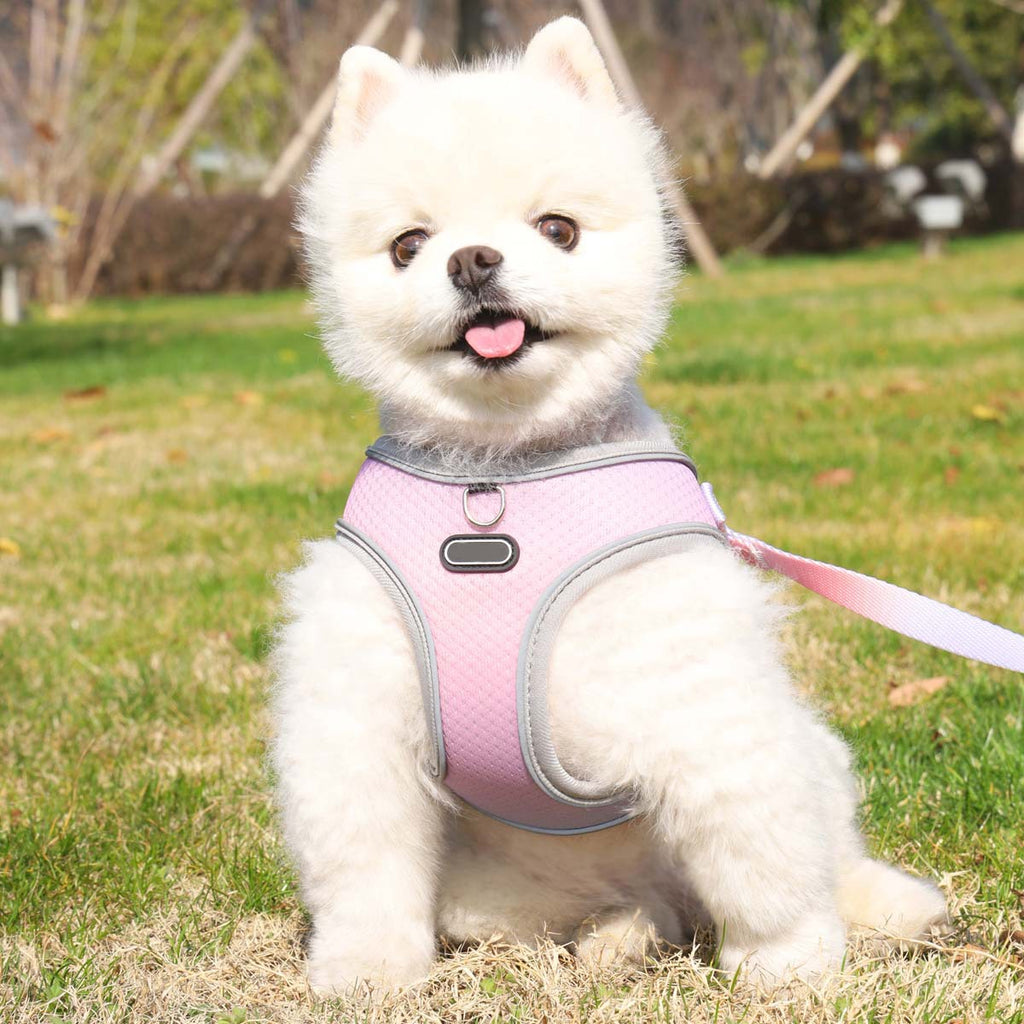 Pet Clothes Hand Holding Rope Out Dog Chest Strap