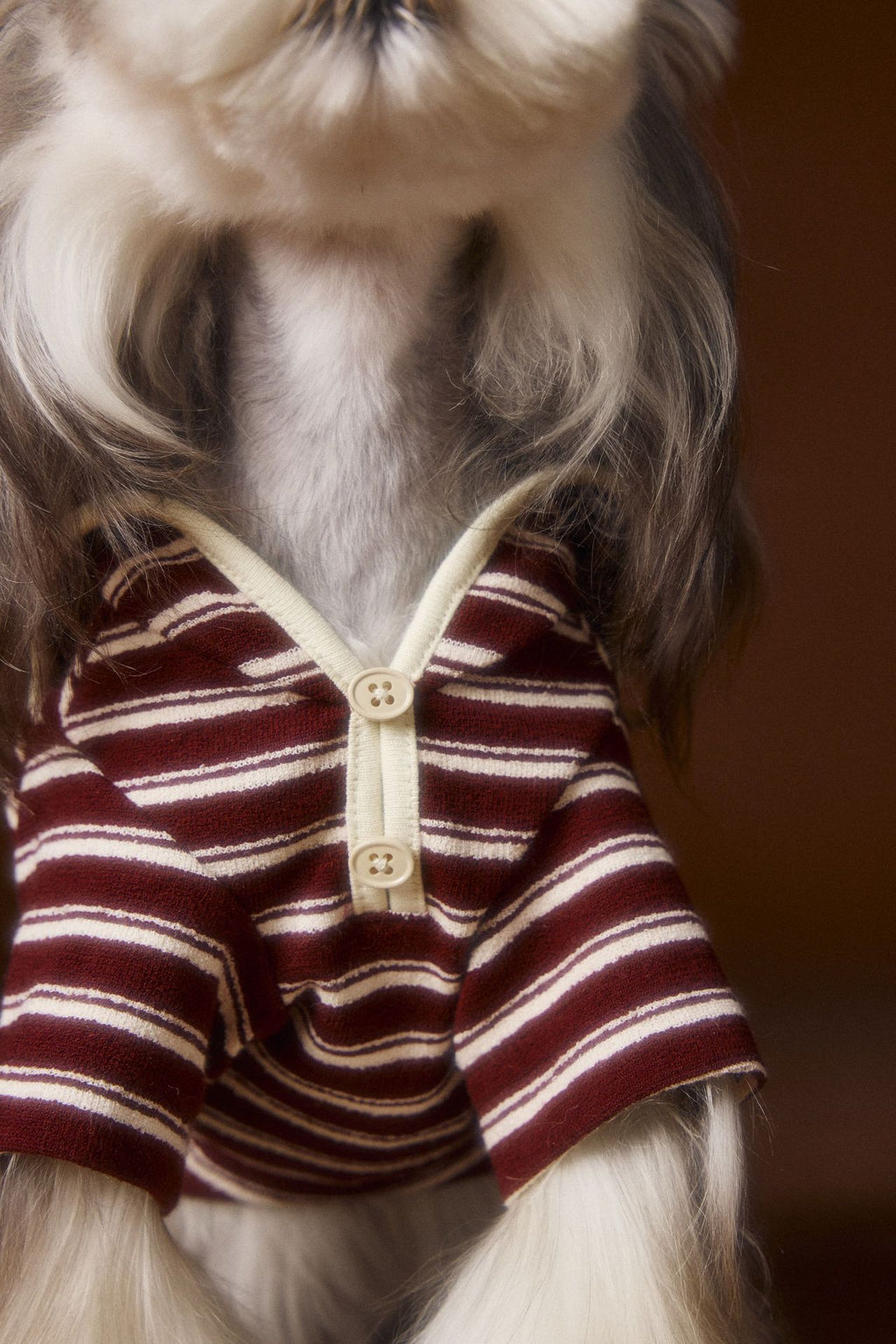 Teddy Bichon Maltese Striped Embroidered Sailor Collar Sweatshirt