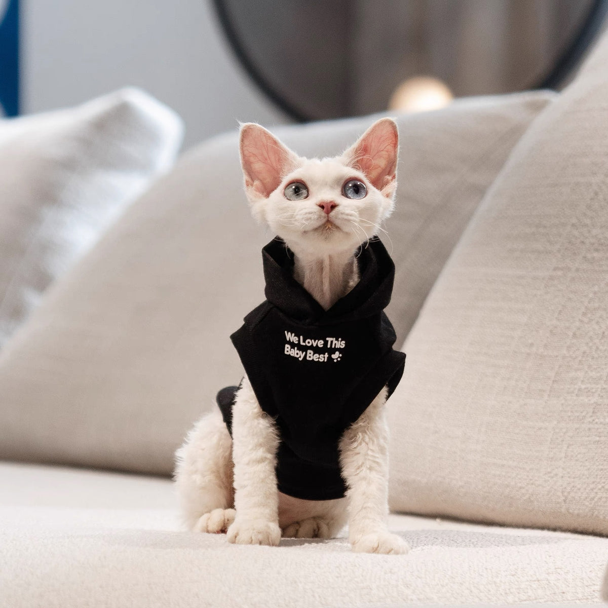 Pet Creative Letter Hoodie Apparel