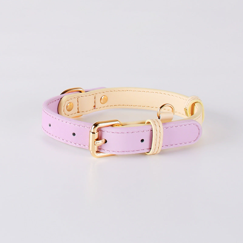 Leather Pet Collar For Small And Medium-Sized Dogs