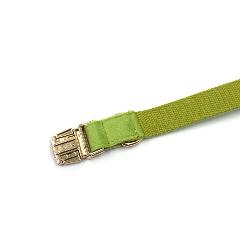 INS Wind Matcha Green Velvet Dog Collar