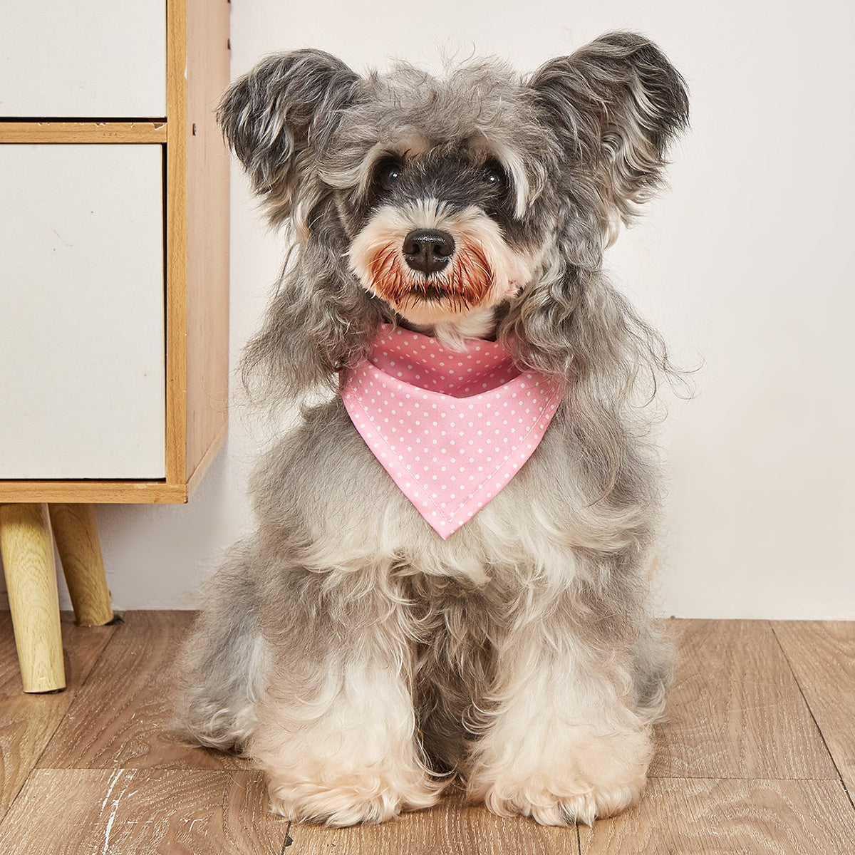 Four-Season Universal Triangle Pet Bib