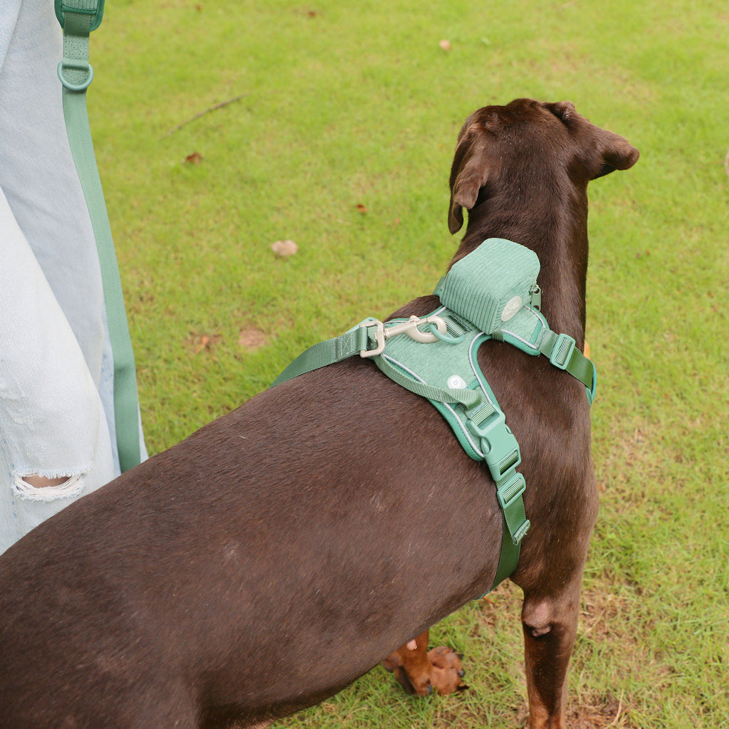 Chest And Back Dog Dog Backpack Suit Dog Walking Bag