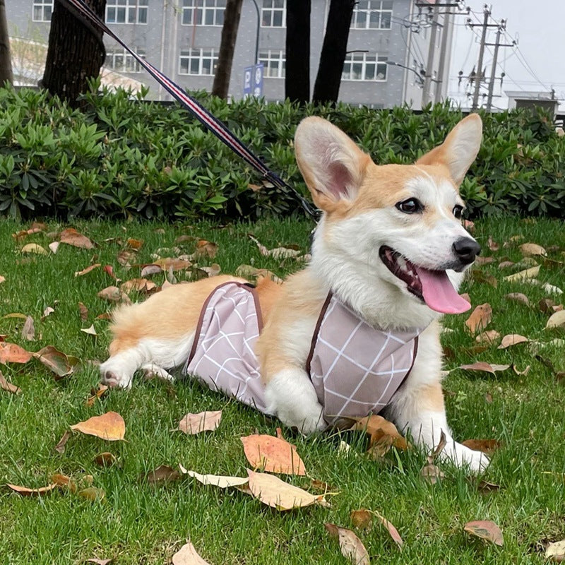 Corgi Dudou Pet Summer Dog Raincoat