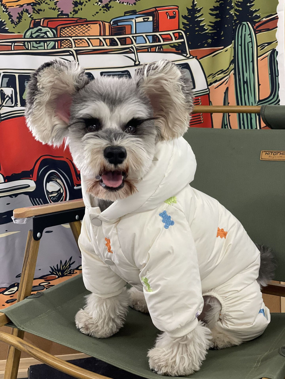 Dog Clothes Thickened Warm Teddy Schnauzer PomeranianBichon Frise Pug Hooded Pet Four Feet Down Jacket