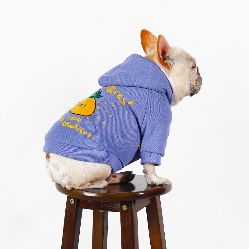 Winter Cartoon Printed Plush Pet Hoodie