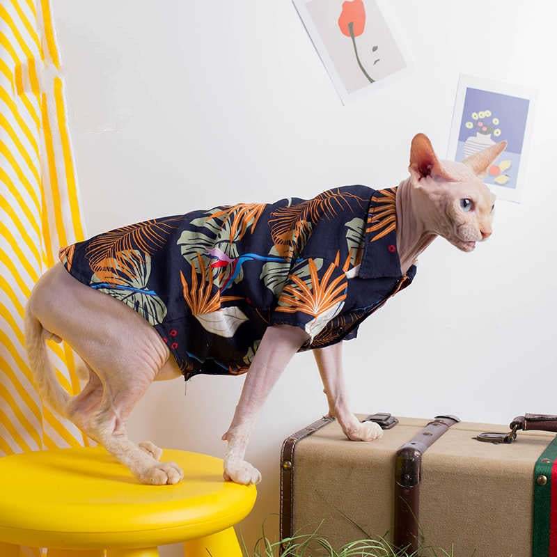Sphynx Cat Summer Shirt Hawaiin Style Button Up Clothes