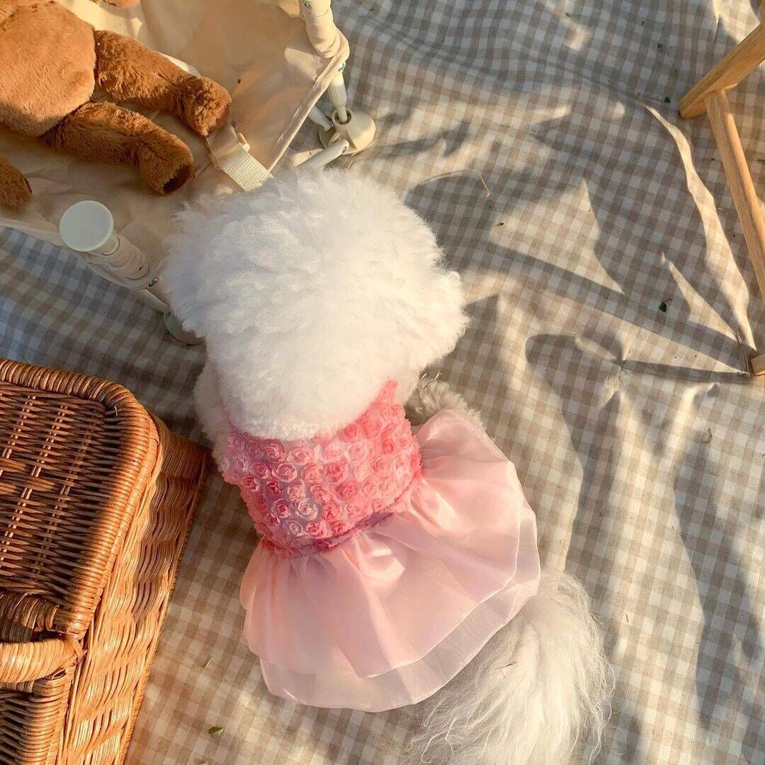 Spring And Summer Fashion Pet Dress