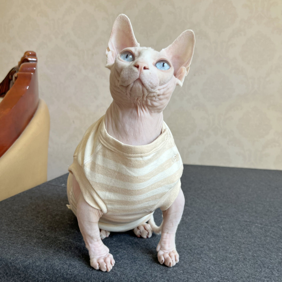 Hairless Cat Clothing Sphynx Autumnwinter Warmth