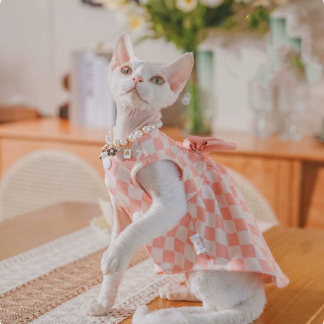 Hairless Cat Devon Cat Kitten Clothes British Style Dress