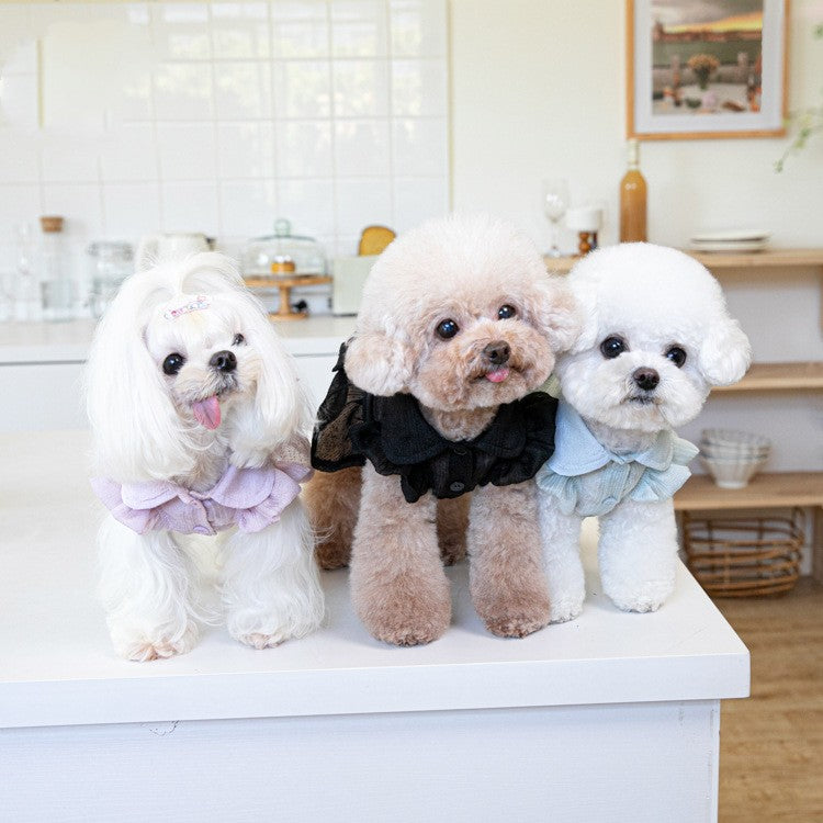 Japanese And Korean Fashion Pet Clothes Clothing