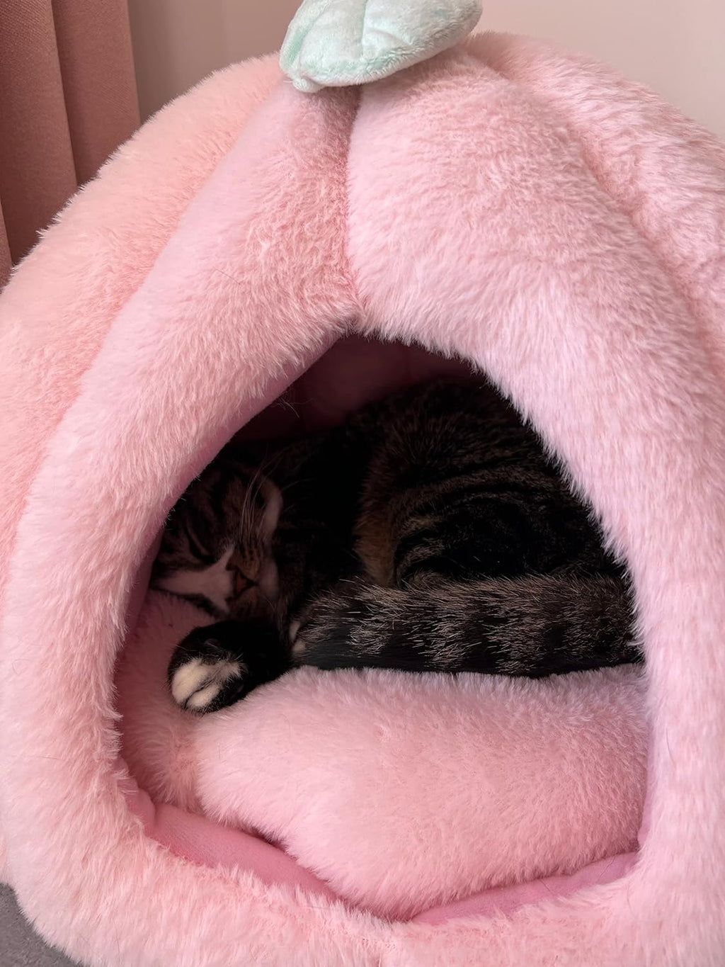 Pink Cat Houses - Soft Bed Tent Cave For Indoor Cats With Removable Cushion Pad