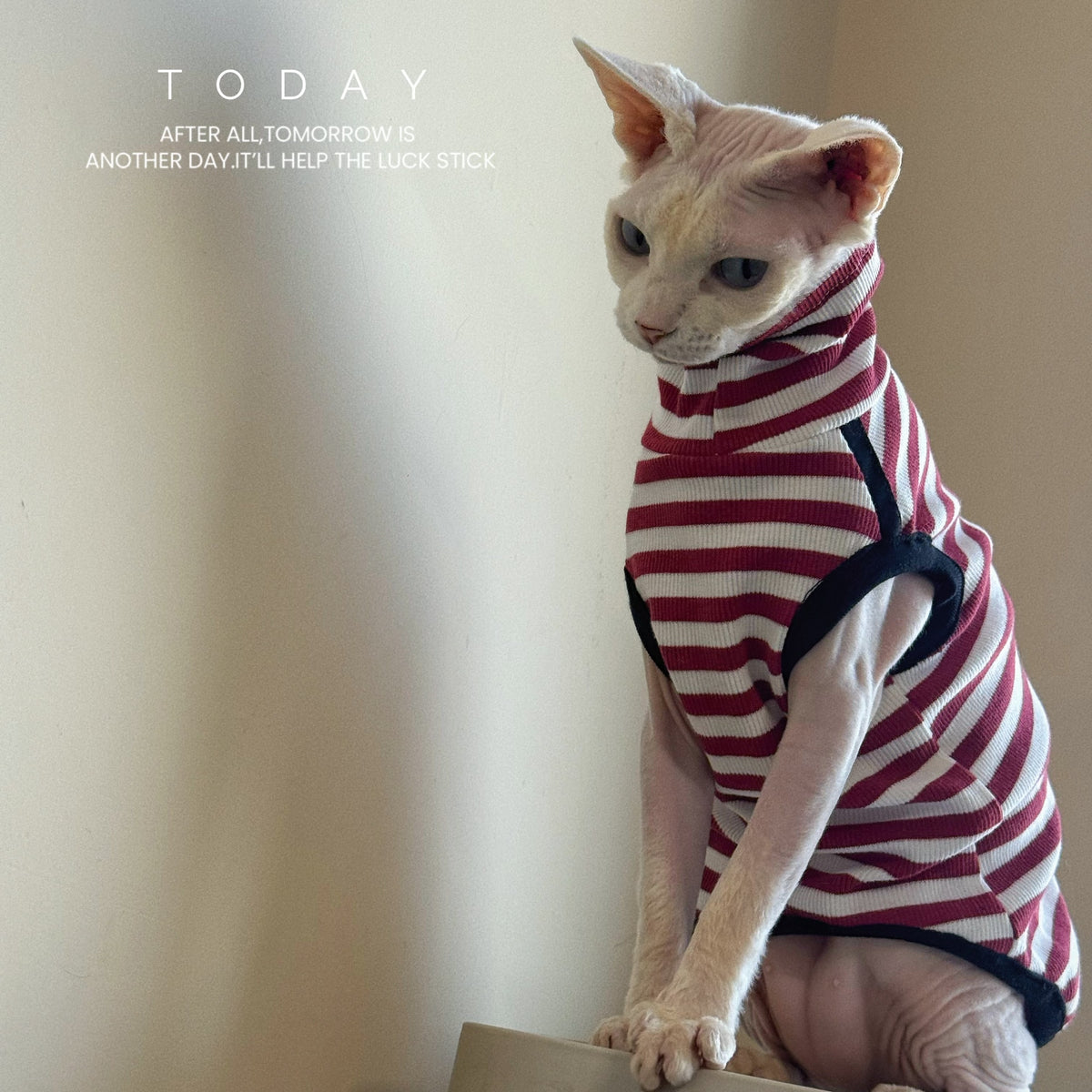 Sphynx Cat Spring Sleeveless Shirt Red And White Striped Fashion Clothes For Hairless Cats Devon Rex