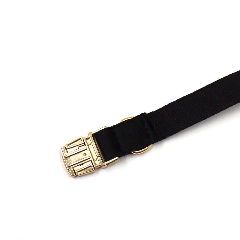 Pet Fashion Simple Anti-lost Dog Collar