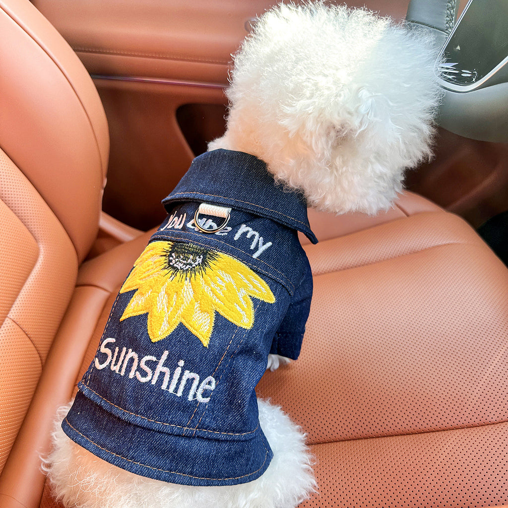 Sunny Denim Two-leg Dog Clothes