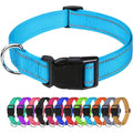 Basics Reflective Polyester Dog Collar, Adjustable Length, Quick-Release Buckle For Easy On Off