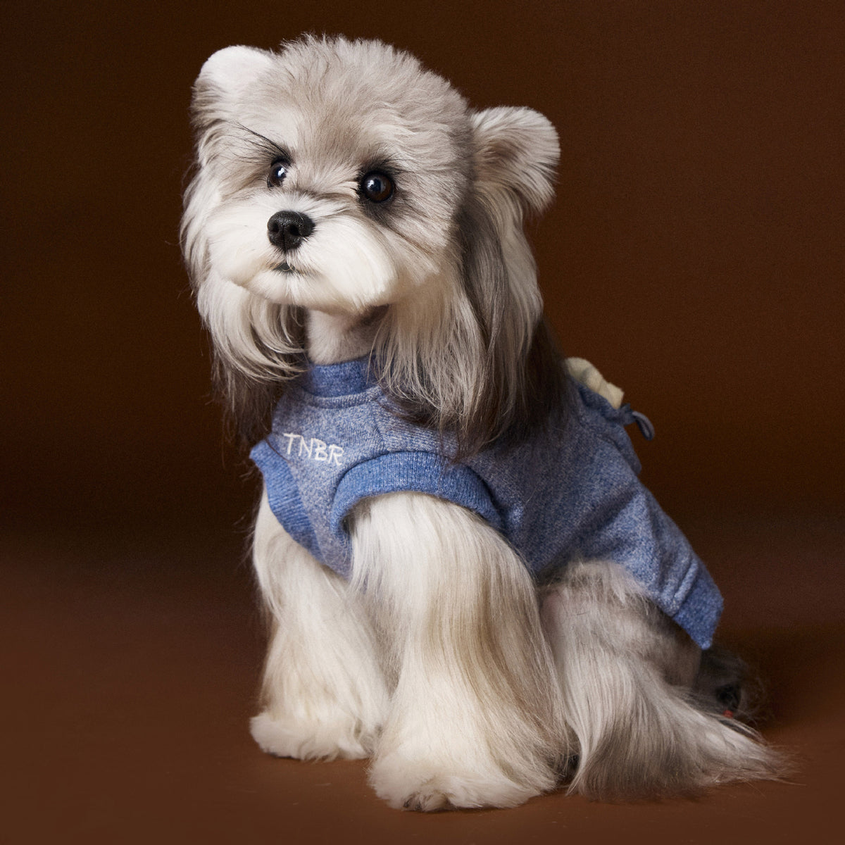 Bichon Maltese Sleeveless Sweater Three-dimensional Bear Head
