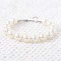 Pet Collar Dog Leash Necklace Cat