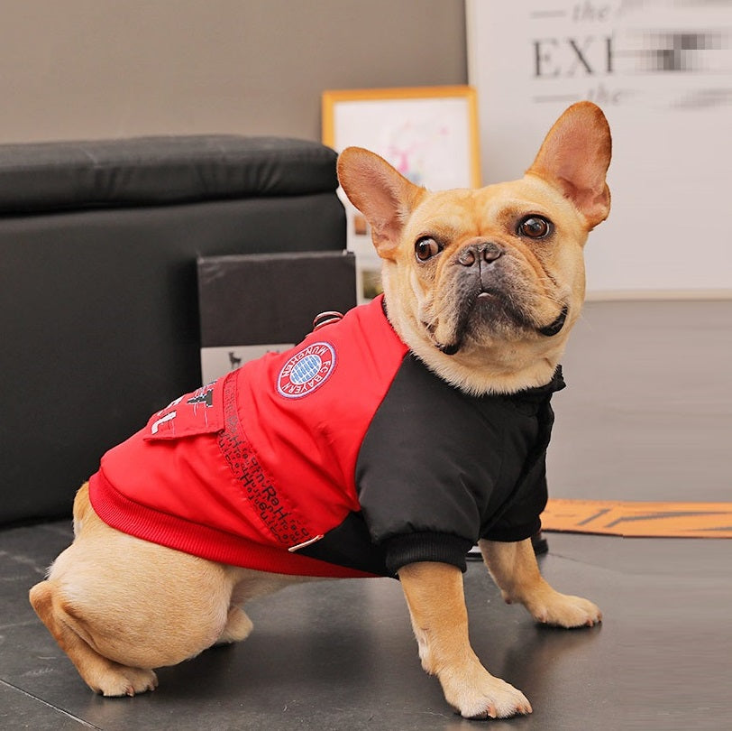 Small Pet Puppies Casual Winter Dog Padded Coat