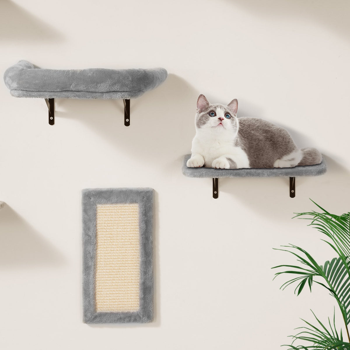 Wall Mounted Cat Shelves Tree With Jump Boards Hammock Sofa Grip Set Of