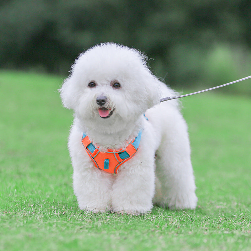 Large Anti Slip Pet Chest Harness In Traction Rope