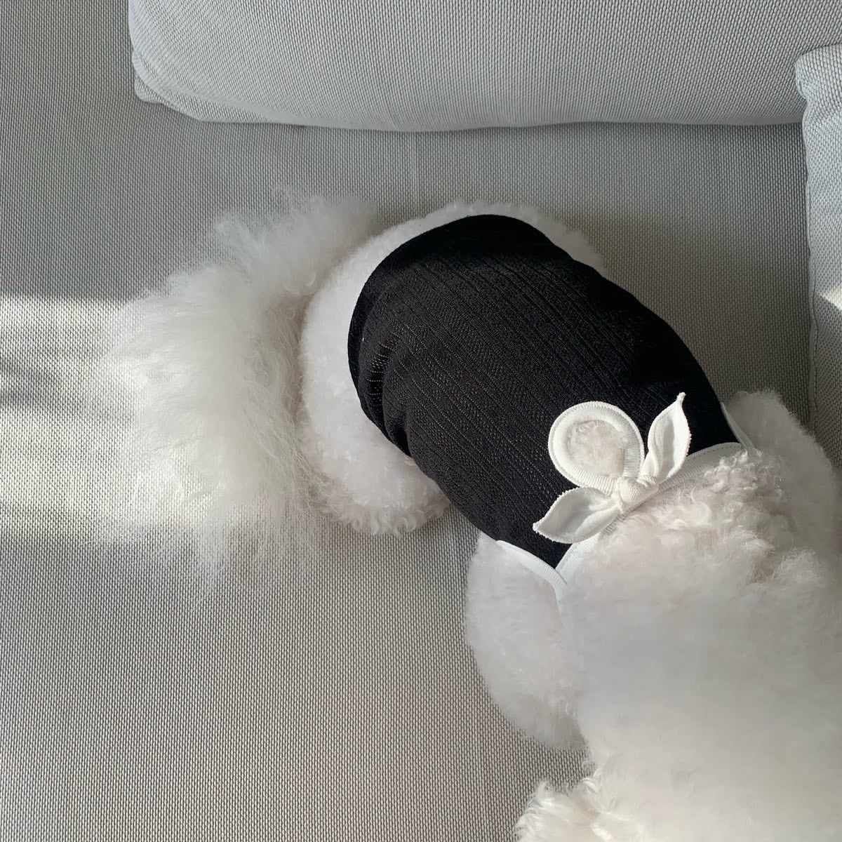 Fashion Personality Dog Clothes Camisole