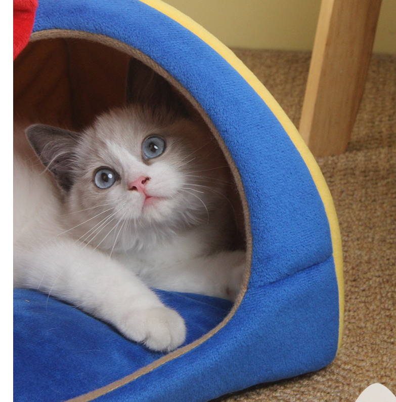 Cute Four Seasons Universal Pet Nest Semi-enclosed Cat