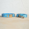 Hardware Buckle Pet Dog Collar Leash Set