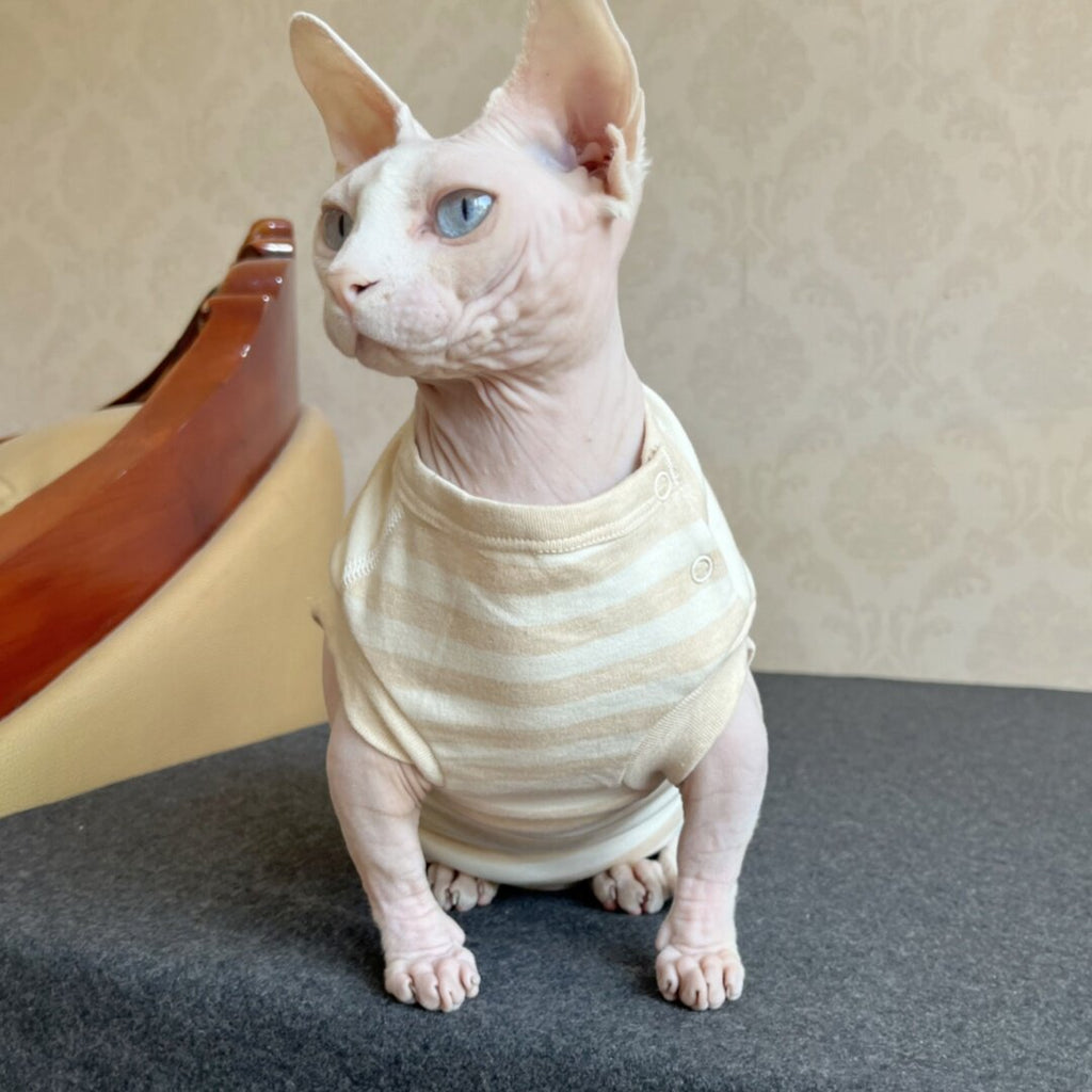 Hairless Cat Clothing Sphynx Autumnwinter Warmth