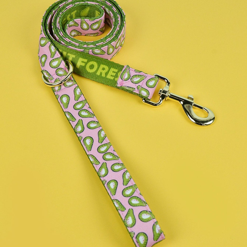 Valentine's Day Love Pet Hand Holding Rope