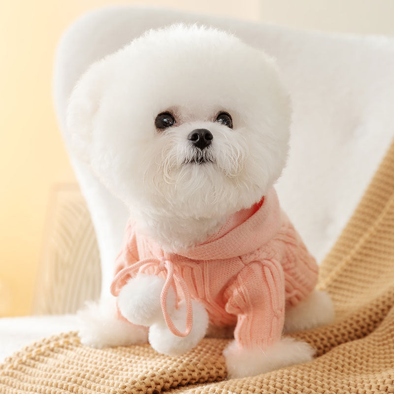 Cat Fur Ball Sweater Two Feet Warm Hooded Dogs Teddy Pet Clothes