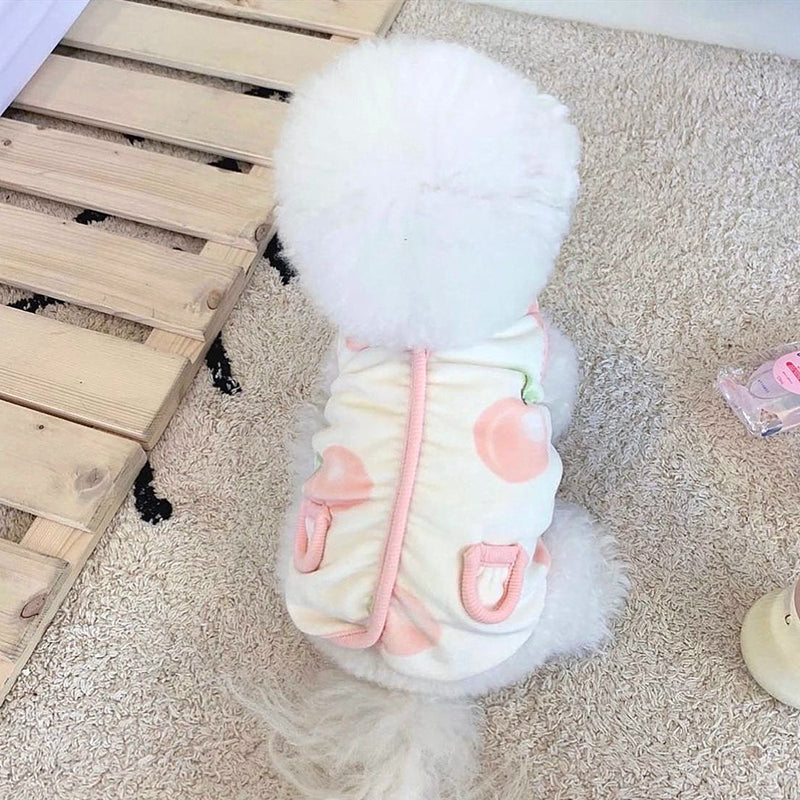 Peach Pet Cat Small Puppies Teddy