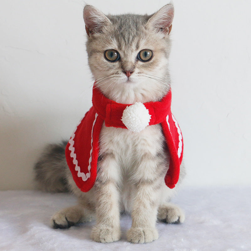 Dog Scarf Cat Hat Bib Jewelry Winter