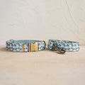 Soft And Comfortable Pet Dog Collar Leash Set