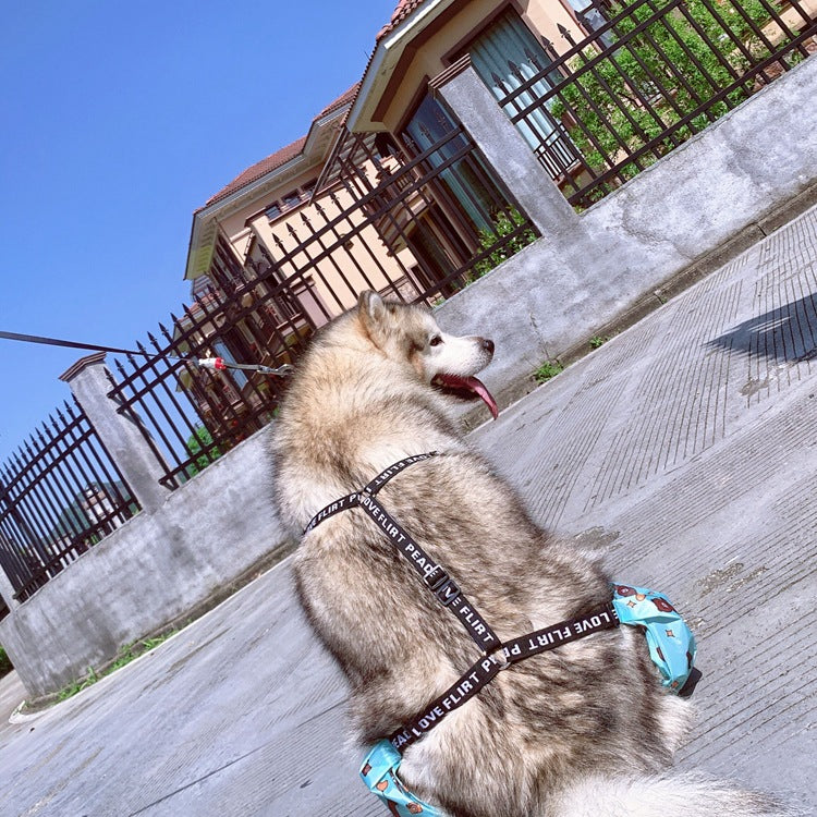 Adjustable Dog Four Legged Raincoat