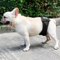 Male Dog Restraint Courtesy Belt Pet Supplie Washable Sanitary Diapers