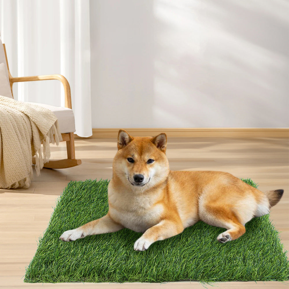 Pet Lawn Mat Dog Floor Mat Fixed Point Nest Washable Wholesale New Product