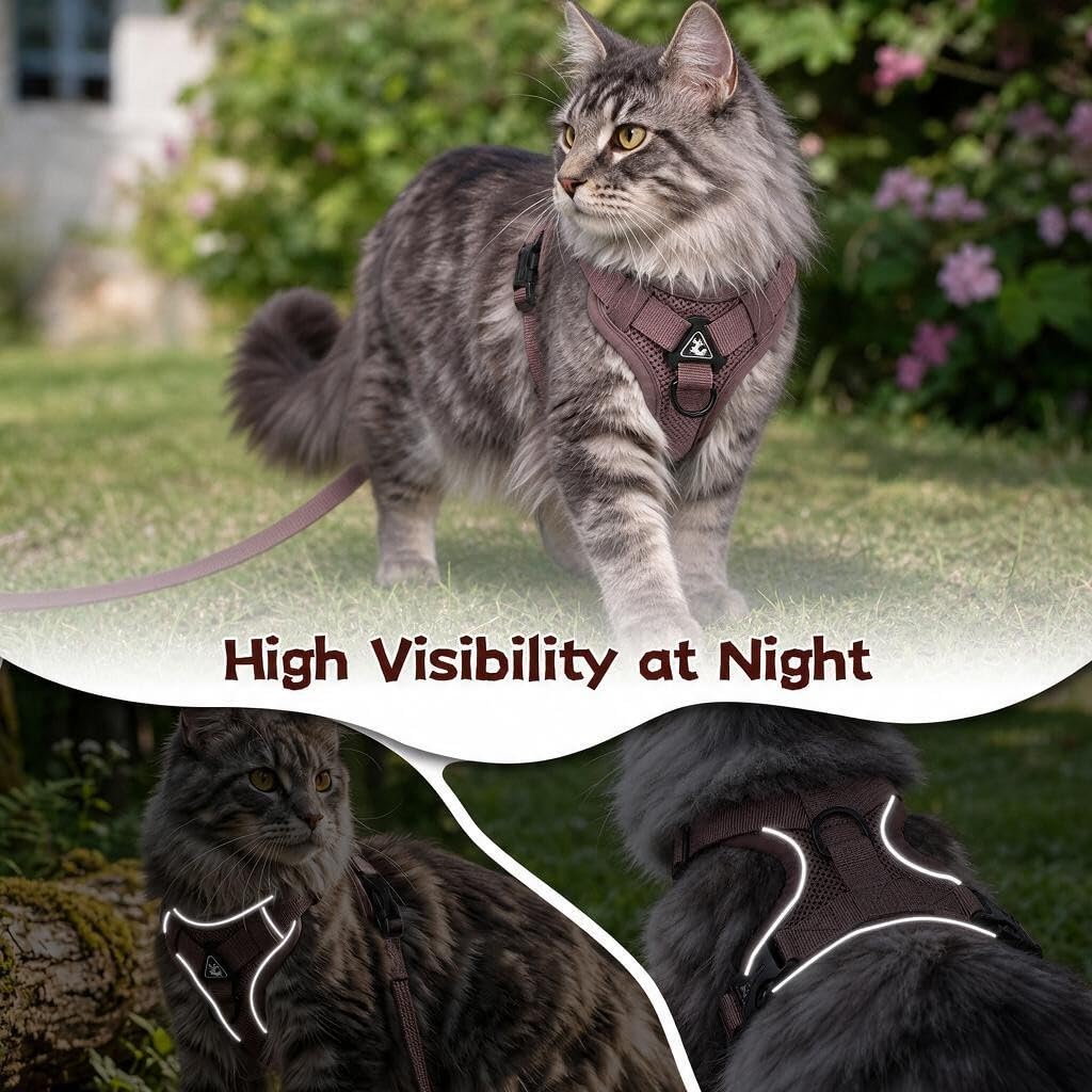 Large Cat Harness And Leash Set Escape Proof Adjustable Mesh Vest With Reflective Strips, No-Choke Soft Breathable Harness For Small Dog Big Kitten