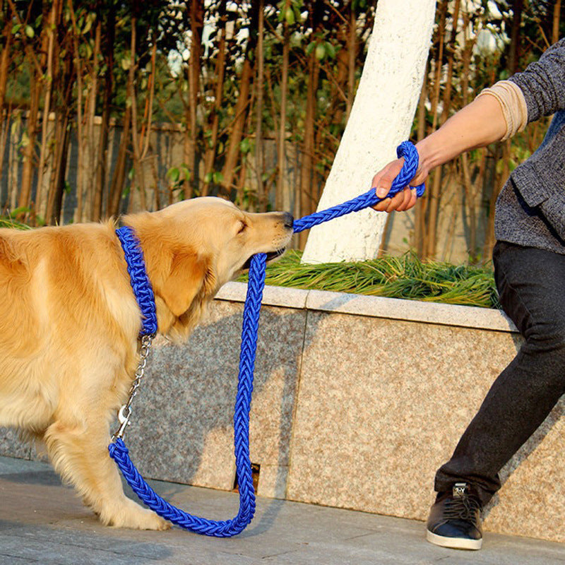 Eight-strand Nylon Leash Suitable For Medium- To Large-sized Dogs