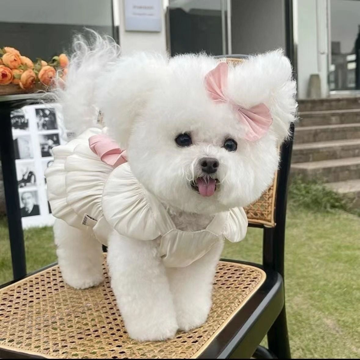 Pet Clothes Streamer Breathable Gauze Skirt Teddy Bichon Dog Cat Out Traction