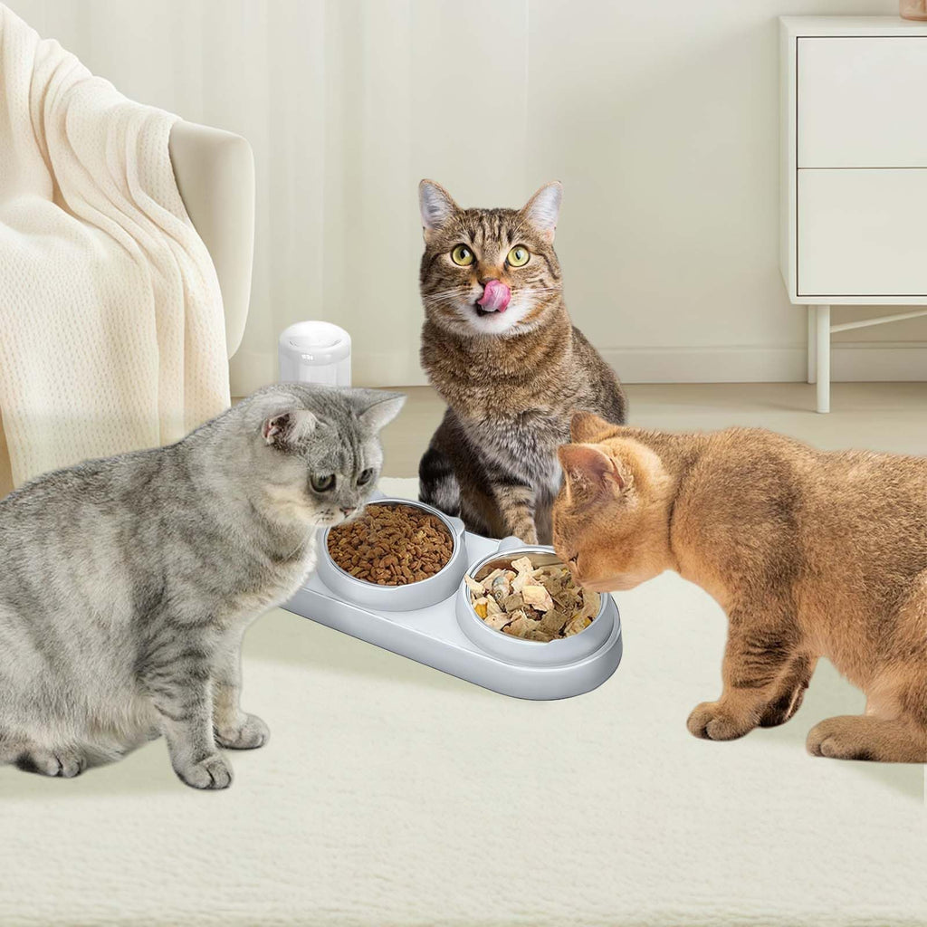 3 In 1 Cat Bowl, Cat Food And Water Bowl Set With Water Dispenser And Stainless Steel Bowls, Pet Raised Three Bowls For Indoor Cats, Small Or Medium