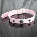 New Encapsulization Webbing Dog Collar Washable And Easy To Clean