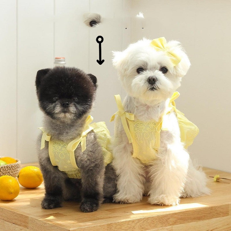Main Sling Short Skirt Bowknot Hairpin Cat Thin Pet Clothes